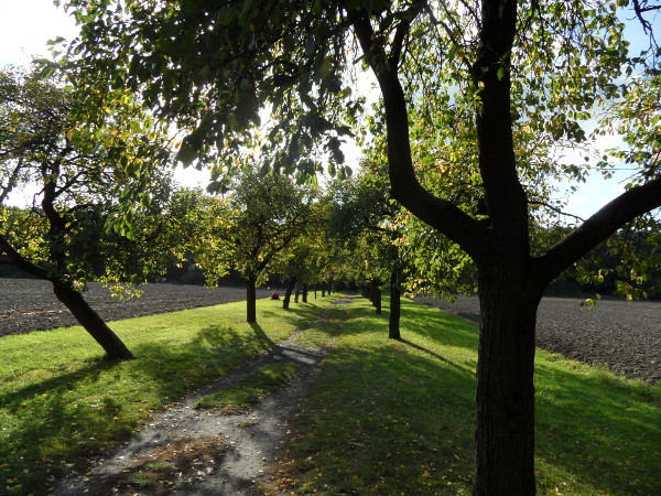 Botanischer Volkspark Blankenfelde Stadt Events Kultur